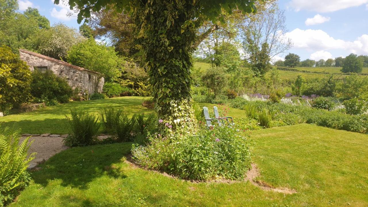 La Maison Pres Du Ruisseau Chambre Jaune Fenioux  Exterior foto
